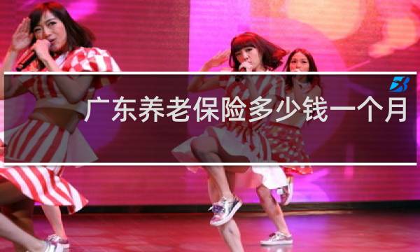 广东养老保险多少钱一个月图片