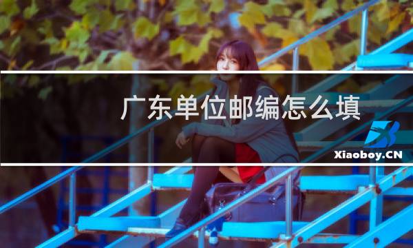 广东单位邮编怎么填