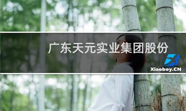 广东天元实业集团股份有限公司