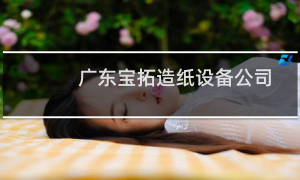 广东宝拓造纸设备公司图片