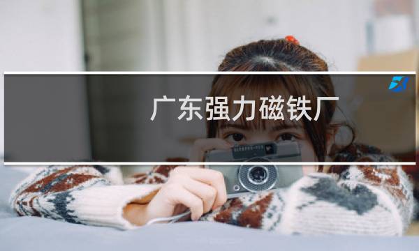 广东强力磁铁厂