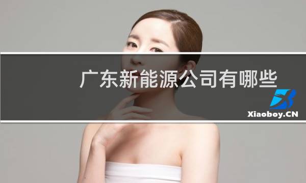 广东新能源公司有哪些