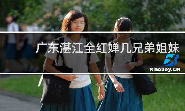 广东湛江全红婵几兄弟姐妹