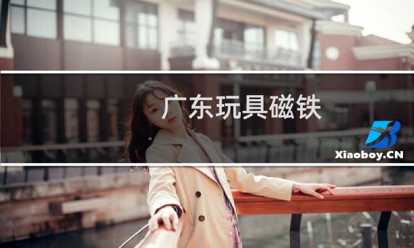 广东玩具磁铁