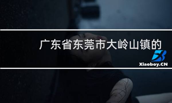 广东省东莞市大岭山镇的邮政编码是多少