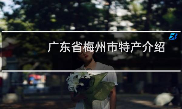 广东省梅州市特产介绍（广东省梅州市特产列表）