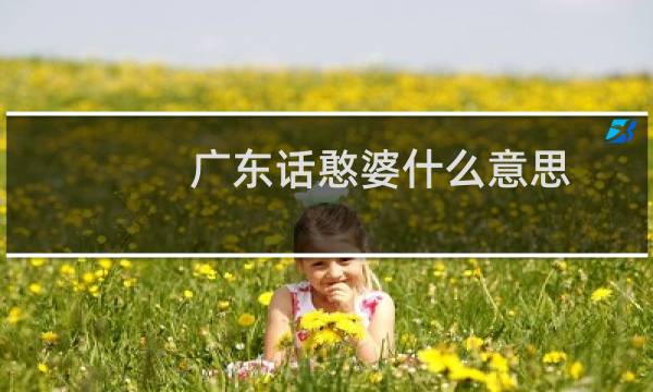 广东话憨婆什么意思