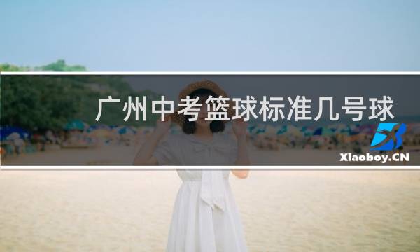 广州中考篮球标准几号球