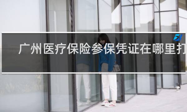 广州医疗保险参保凭证在哪里打印