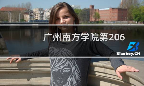 广州南方学院第206组(中外合作办学或国际项目)有哪些专业 招生多少人