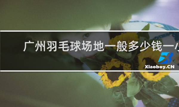 广州羽毛球场地一般多少钱一小时