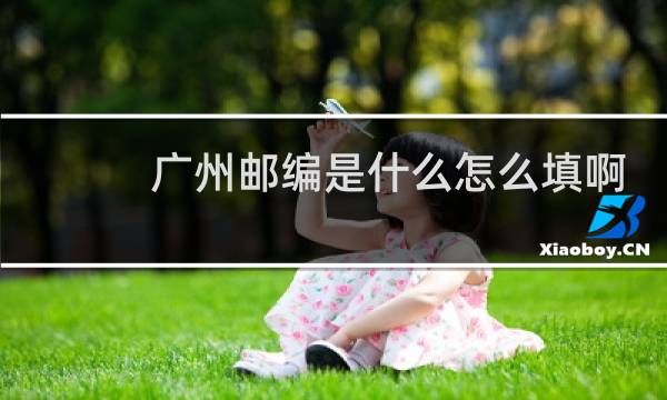 广州邮编是什么怎么填啊
