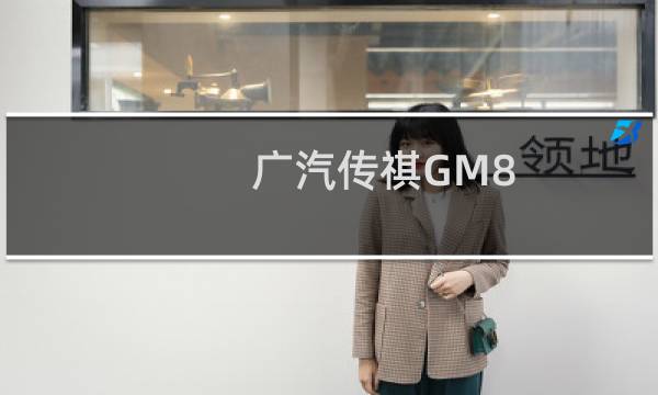 广汽传祺GM8:广汽传祺GM8小改款即将上市图片