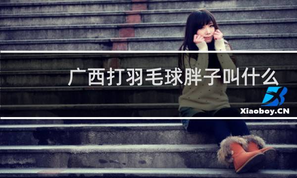 广西打羽毛球胖子叫什么