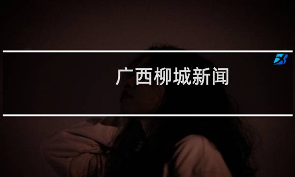 广西柳城新闻（广西柳城）
