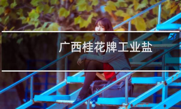 广西桂花牌工业盐图片