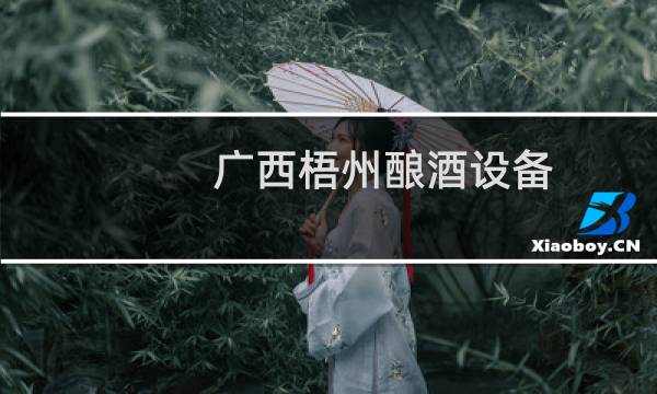 广西梧州酿酒设备