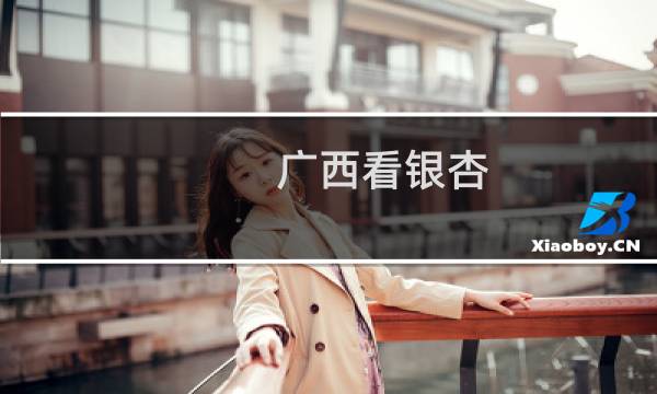 广西看银杏
