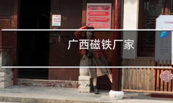 广西磁铁厂家