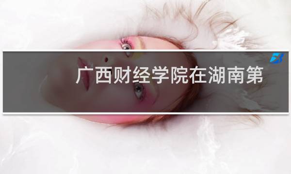 广西财经学院在湖南第205组(中外合作办学或国际项目)包括哪些专业 附各专业招生人数