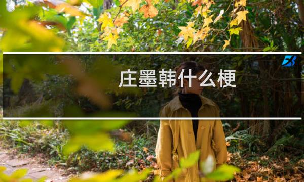 庄墨韩什么梗