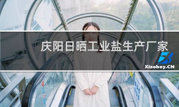 庆阳日晒工业盐生产厂家图片