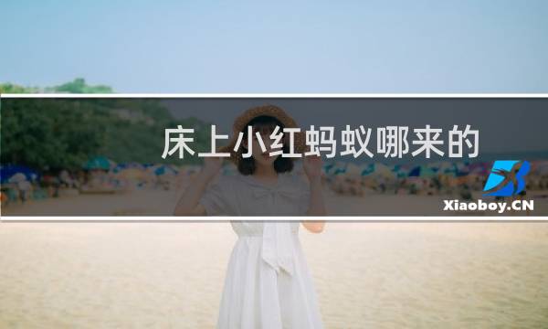 床上小红蚂蚁哪来的