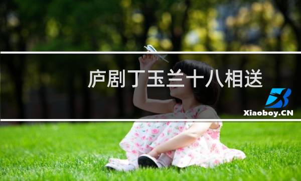 庐剧丁玉兰十八相送（庐组词语）