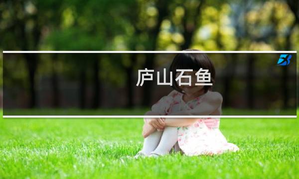 庐山石鱼(庐山市特产)