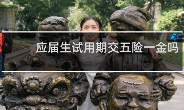 应届生试用期交五险一金吗