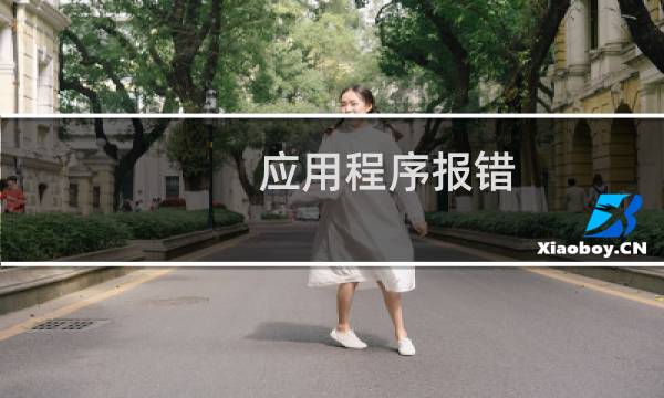 应用程序报错 是不是服务器问题排查一下