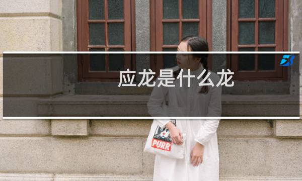 应龙是什么龙