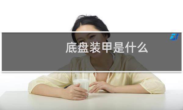 底盘装甲是什么图片