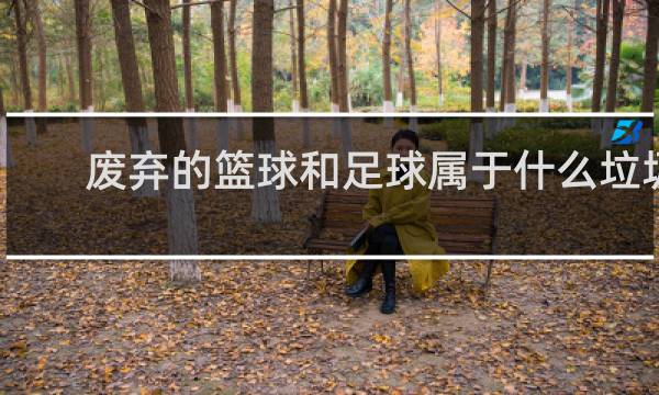 废弃的篮球和足球属于什么垃圾