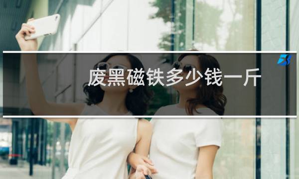 废黑磁铁多少钱一斤