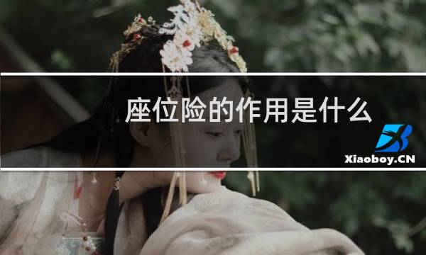 座位险的作用是什么