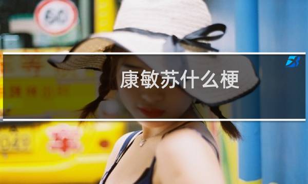 康敏苏什么梗