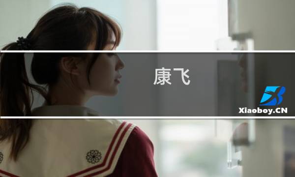 康飞