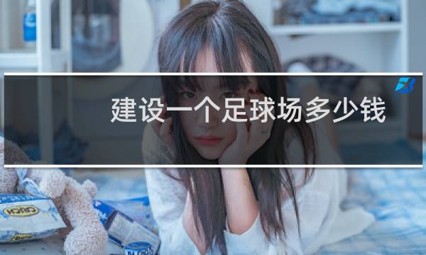 建设一个足球场多少钱