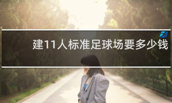建11人标准足球场要多少钱