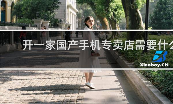 开一家国产手机专卖店需要什么