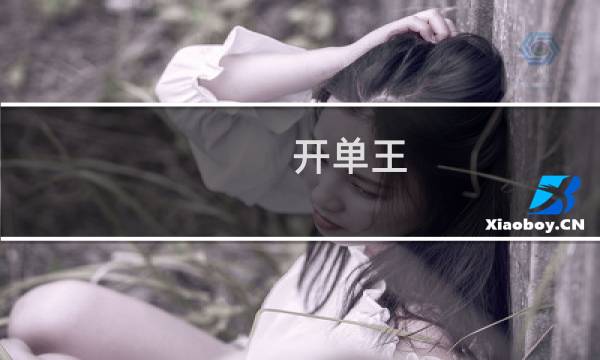 开单王图片