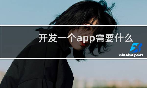 开发一个app需要什么资源