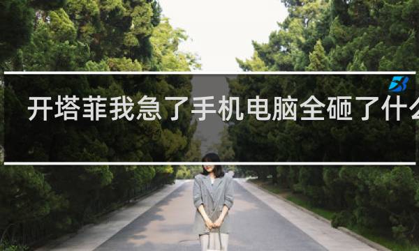 开塔菲我急了手机电脑全砸了什么梗