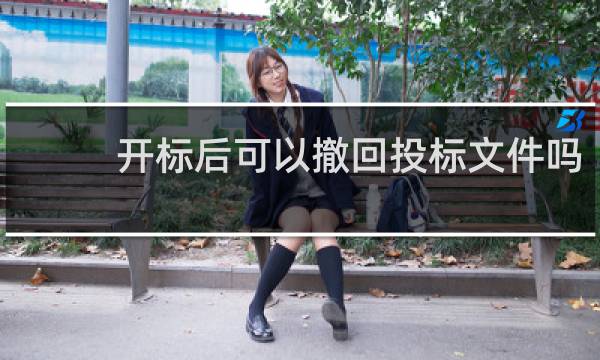 开标后可以撤回投标文件吗