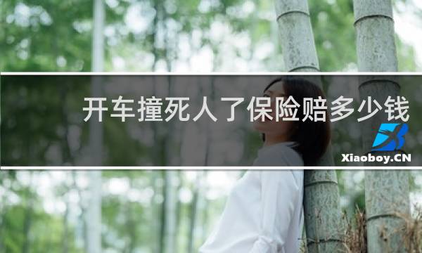 开车撞死人了保险赔多少钱