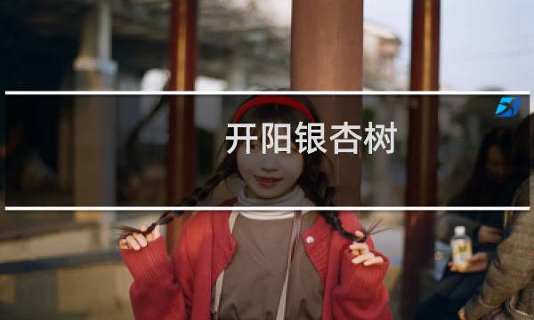 开阳银杏树