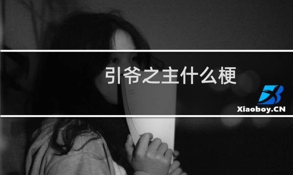 引爷之主什么梗