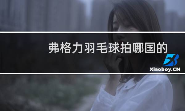 弗格力羽毛球拍哪国的