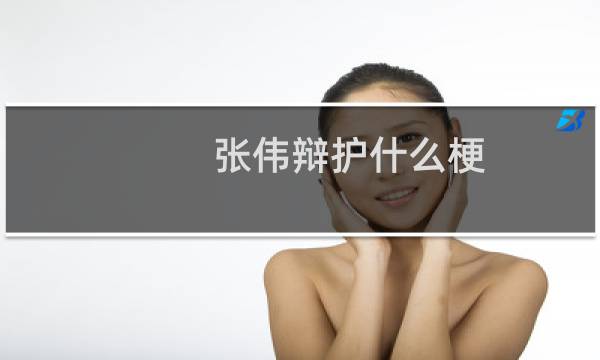 张伟辩护什么梗